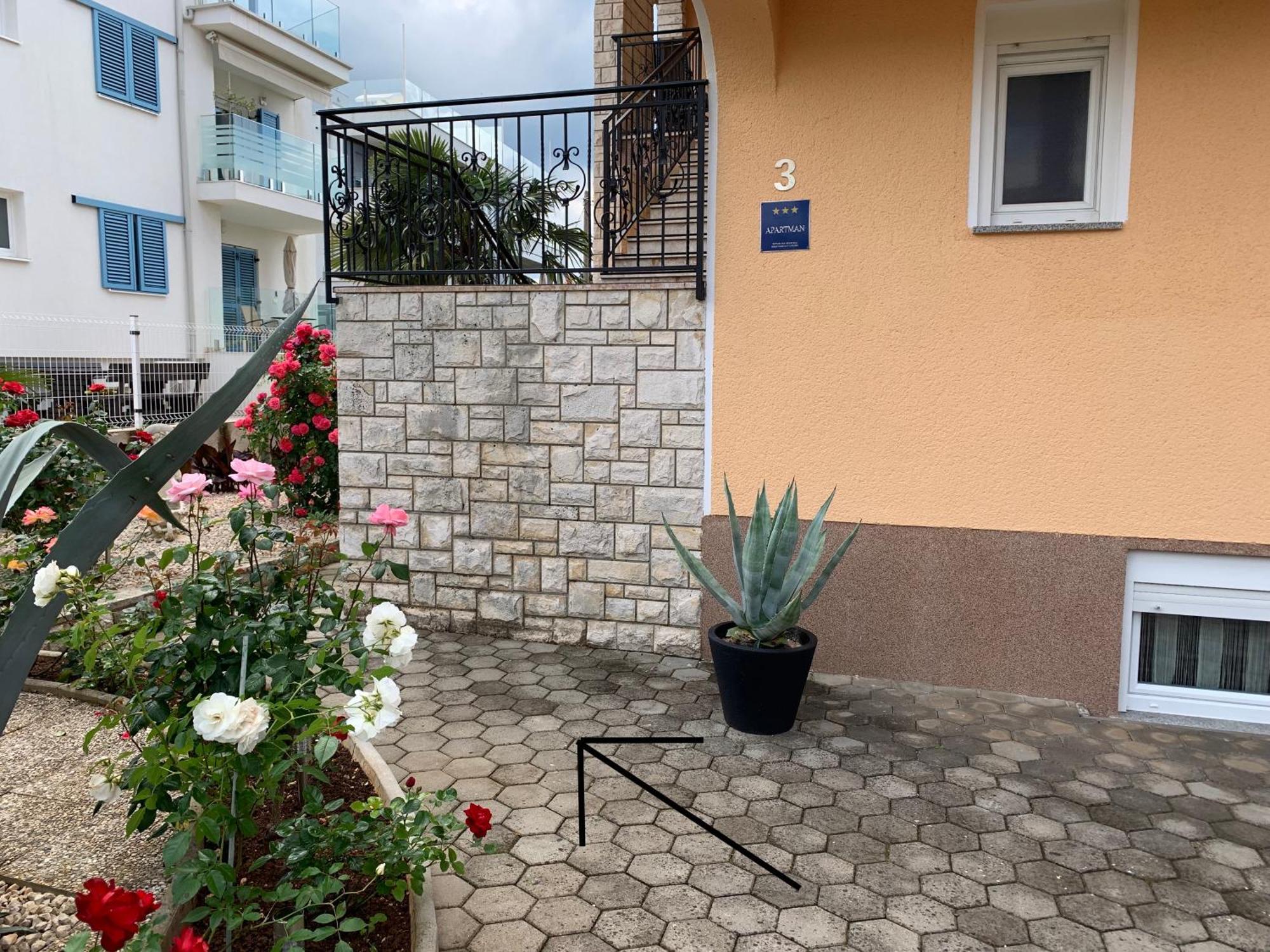 Apartments Kivi Novigrad Istria Exterior foto