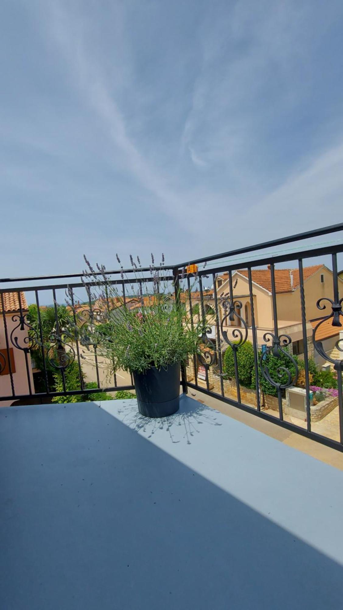 Apartments Kivi Novigrad Istria Exterior foto